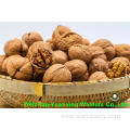 hot sale goods Walnut Kernels light amber halves(LAH)